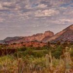 average life of air conditioner in arizona