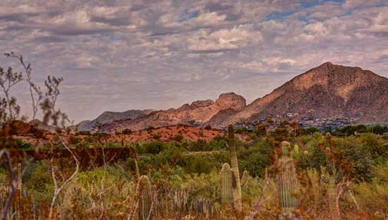 arizona-desert